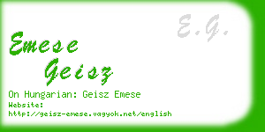 emese geisz business card